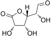 d-glucuronolactone