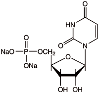 uridine-5-monophosphate